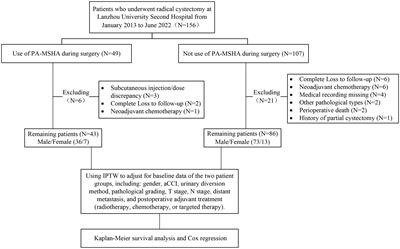 PA-MSHA improves prognosis of patients undergoing radical cystectomy: a retrospective cohort study using inverse probability of treatment weighting